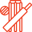 Box cricket img